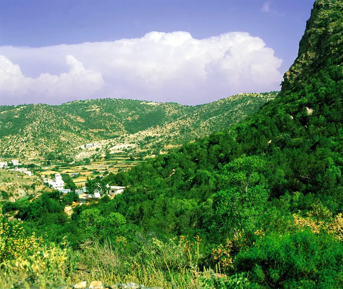 عسير
