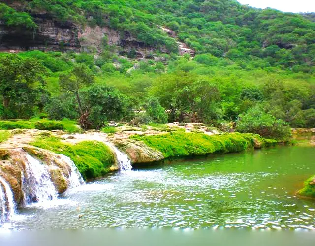 الجغرافيا