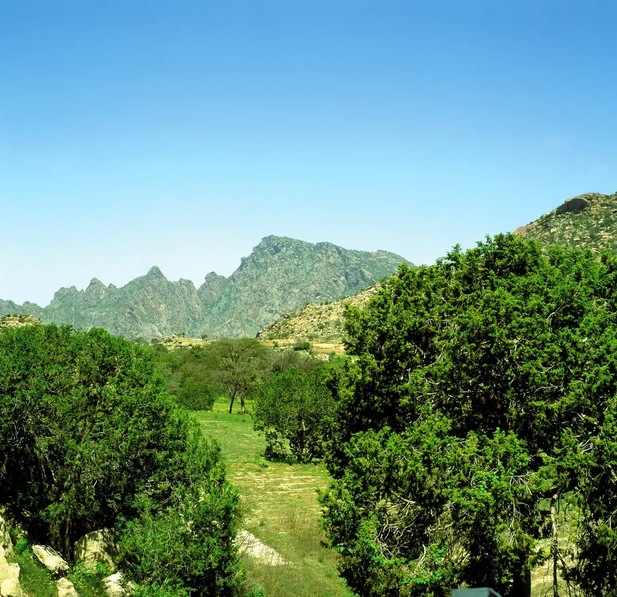 الجغرافيا