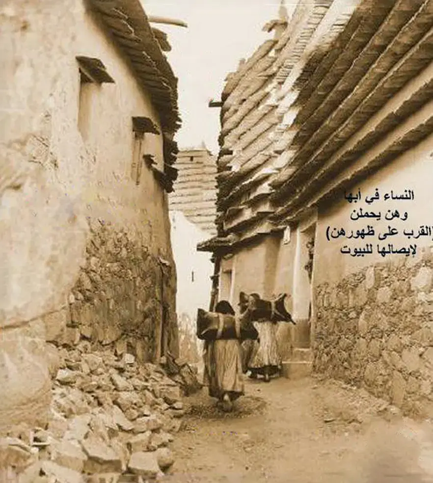 السكان والحياة