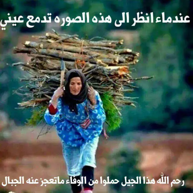 السكان والحياة