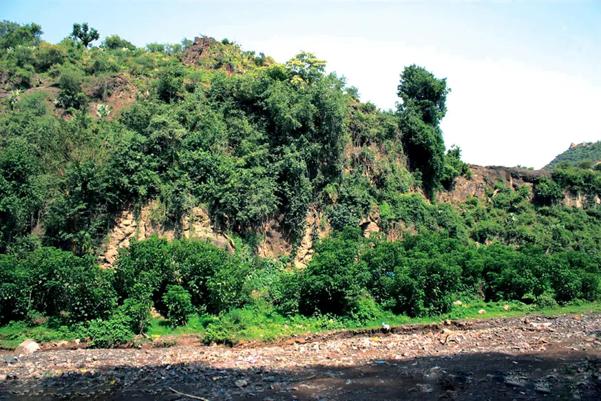 منطقة عسير